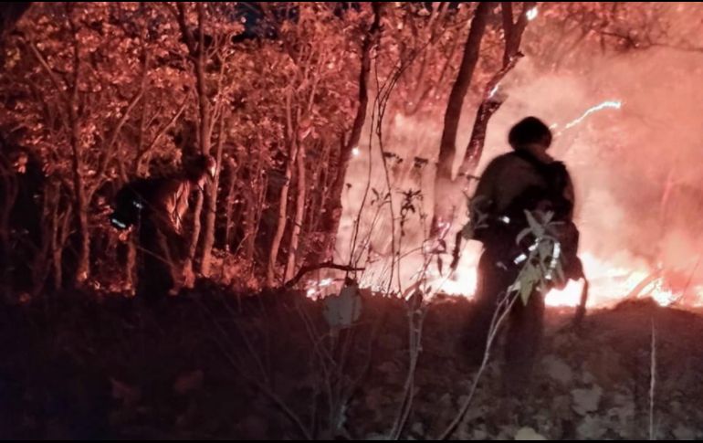 Cuarenta y cuatro brigadistas y 9 vehículos de apoyo combaten el fuego en el bosque. X/ReporteForestal