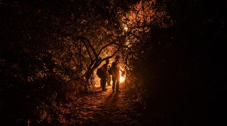 Canadá atraviesa una seria crisis de incendios forestales. EFE/ARCHIVO