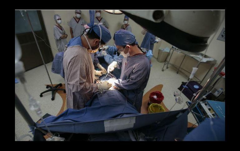 Suman más de 200 trasplantes renales en el IMSS Jalisco