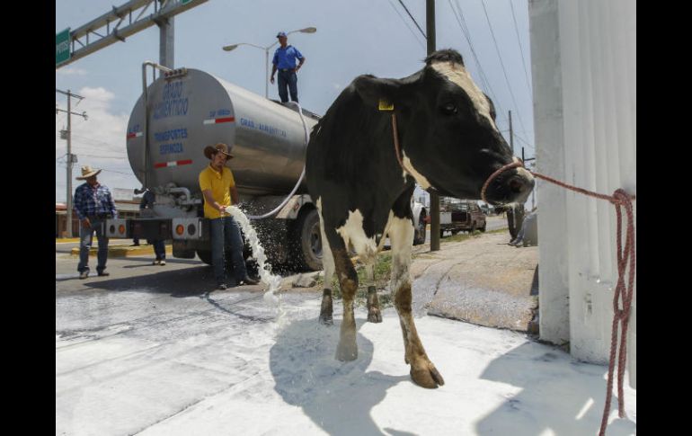 Canadá cambió su política de precios para la leche nacional. EL INFORMADOR / ARCHIVO