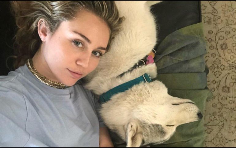 Miley agradeció a las autoridades por controlar el incendió, y a pesar de que perdió su casa, lo importante son sus animales y el amor de su vida. TWITTER / MileyCyrus