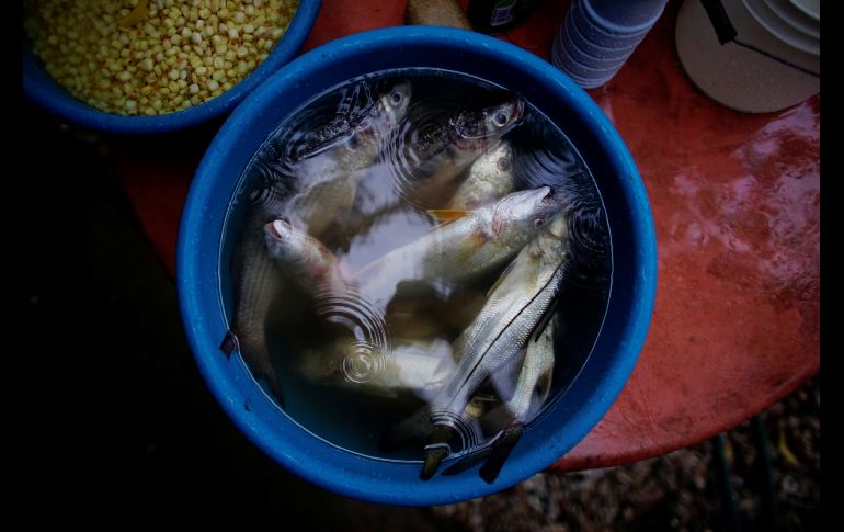 Pescado fresco en la mesa de una casa en Chiltepec, una población pesquera del municipio de Paraíso. REUTERS/A. Meneghini