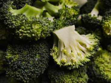 El brócoli, también denominado brécol o bróculi, pertenece a la familia de las crucíferas, al igual que la coliflor y otras variedades de coles. Pixabay