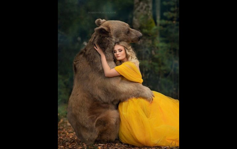 Aquí te explicamos el origen de los memes y el significado de ver a una mujer abrazando o prefiriendo convivir con un oso que con un hombre. PINTEREST/DOBROVOLSKAIA.COM