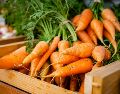 La zanahoria es una de las hortalizas más consumidas en el mundo. ESPECIAL/ Foto de David Holifield en Unsplash