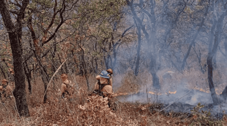 Al momento el incendio es atendido por 135 bomberas y bomberos forestales de la Semadet y otras dependencias. X/@ReporteForestal