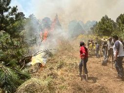 se informó que en lo que va de este año, se han reportado al menos 289 incendios forestales. SUN/ARCHIVO