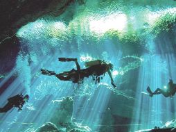 El Gran Cenote de Tulum, un majestuoso lugar que se puede explorar buceando. Secretaría de Turismo / CORTESÍA