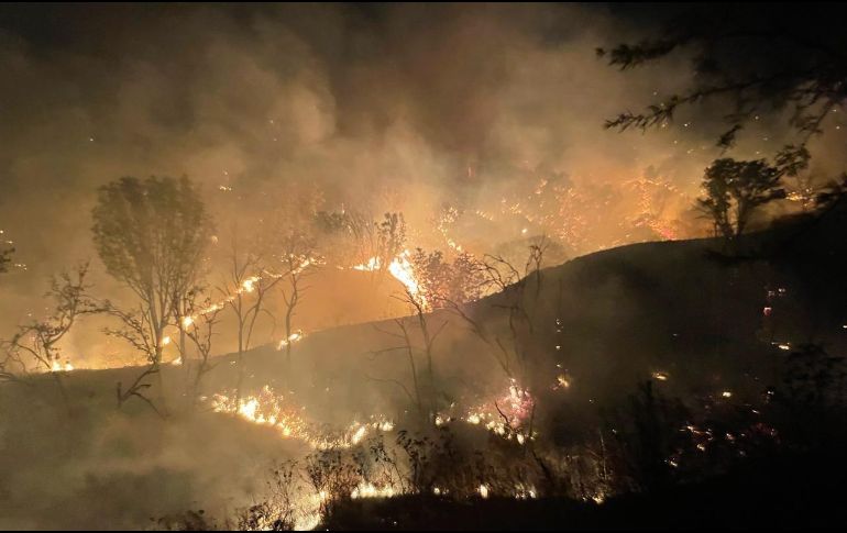 Es el segundo incendio forestal que ocurre dentro del ANP del Bosque de La Primavera en esta semana. ESPECIAL/ Protección Civil