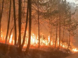 Desde la mañana de ayer jueves se registró un fuerte incendio en el Bosque de Mazamitla, que hasta este viernes no ha podido ser controlado. CORTESÍA / Protección Civil