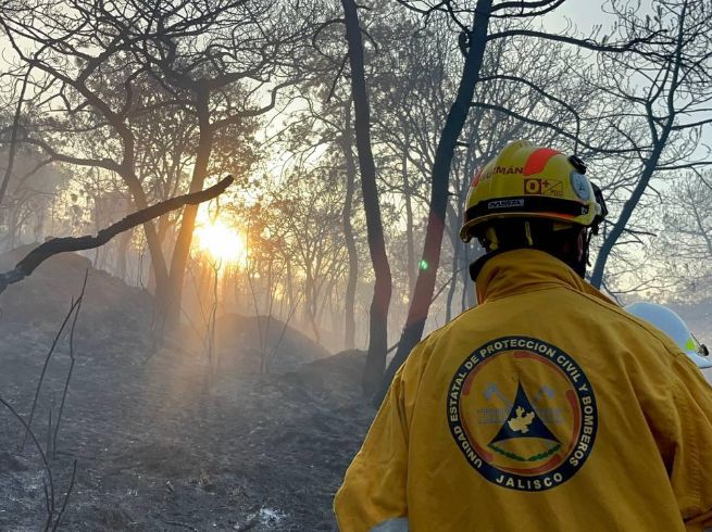 El incendio en El Tajo es controlado por 221 bomberos de diversas corporaciones. X/ReporteForestal