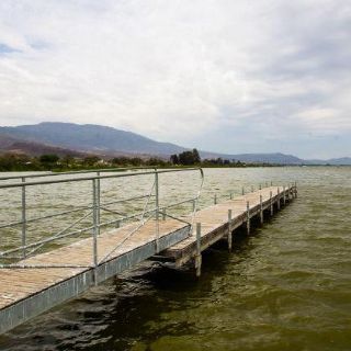 Trabajan Gobierno y universidad por la Laguna de Cajititlán