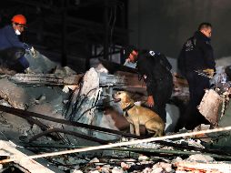 Esta mañana recibió el informe de que entre los escombros aún faltan tres personas por localizar aunque no se cree que sigan vivas.