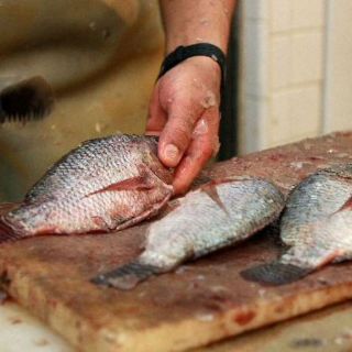 Zapopan promoverá consumo de pescado