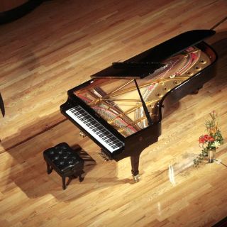 Adiós Boganyi, adiós Festival Cultural de Mayo