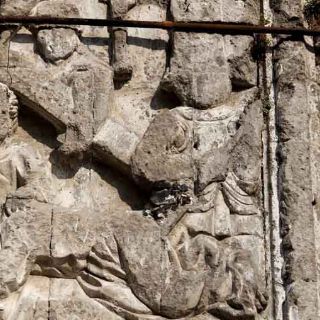 Darán a conocer Lista Roja de bienes en peligro