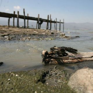 Llaman a organización social para atender desafíos del ambiente