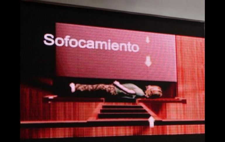 Según el dictamen final, la muerte de Paulette fue un accidente. EL UNIVERSAL  /