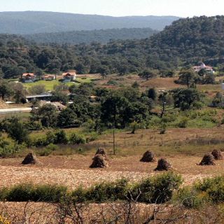 Regidores tapatíos aprueban 1.9 MDP para el Bosque La Primavera