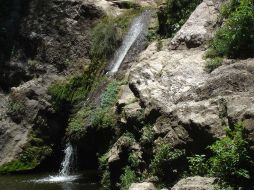 El canopy de Vado Hondo, es mejor después de temporada de lluvias para que las cascadas tengan vida. ESPECIAL  /