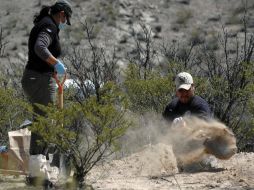 Los cuerpos llevaban al menos 24 horas de fallecidos, confirmó el Semefo de la entidad. INFORMADOR ARCHIVO  /