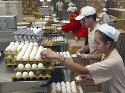 Jalisco es el  Estado líder en la producción de huevo. ARCHIVO  /