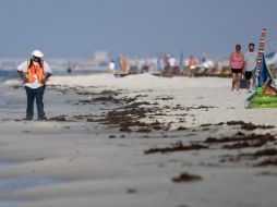 Los daños ecológicos ya son perceptibles en las zonas turísticas de la costa del Golfo. AP  /