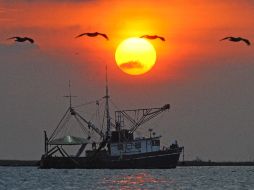 British Petroleum ya moviliza nuevas unidades para sumarse a las labores. EFE  /