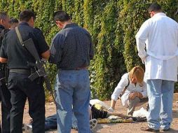 Los nuevos cuerpos fueron descubiertos gracias a una llamada anónima. INFORMADOR ARCHIVO  /
