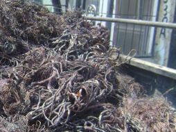 También fueron aseguradas las chatarreras donde fue comprado el cableado. ESPECIAL  /