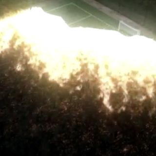 Lanza Greenpeace spot sobre deforestación