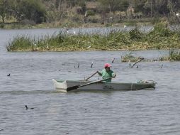 Esta siembra se realizó con el fin de reactivar la pesca y economía de los pescadores de la laguna. ARCHIVO  /
