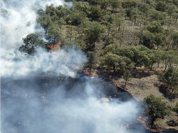 Los planes del PVEM es que la CNDH tenga el poder de regular en materia de medio ambiente. ARCHIVO  /