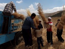 El objetivo es dialogar, analizar y resolver las diferentes situaciones del sector de la agricultura. EFE  /