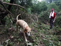 La búsqueda había sido suspendida el sábado por la noche porque era demasiado peligroso continuar en la oscuridad. REUTERS  /