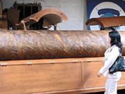 Alrededor de 22 obreros, entre hombres y mujeres, trabajaron durante 20 días en su elaboración. ROSARIO3.COM  /