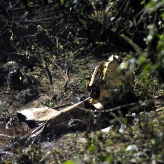 Nueve muertos en desplome de avioneta