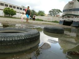 En temporal de lluvias los casos de dengue suelen intensificarse. ARCHIVO  /