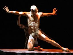 La danza descrita por profesionales de diferentes instituciones internacionales. EL INFORMADOR  /