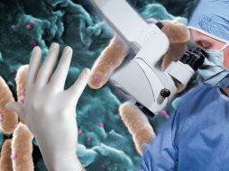 Es necesario procurar las cirugías seguras y la higiene en manos de los médicos. ID  /