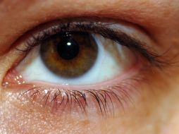 No exageres con la vista perdida. ESPECIAL  /