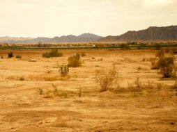 las pérdidas anuales producidas por la desertificación superan los 40 mil millones de dólares. ESPECIAL  /