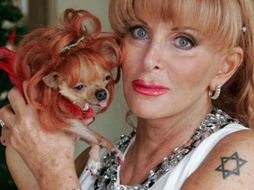 El dinero debe utilizarse para que los perros sigan usando collares de reconocidas marcas. ESPECIAL  /