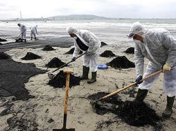 Esta costa turística es rica en coral. ESPECIAL  /