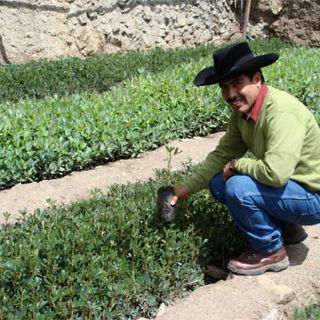 Destaca Nafin impulso a proyectos sustentables