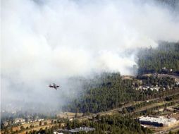 La causa del incendio no se ha determinado, aunque un individuo fue arrestado a primeras horas del domingo. AP  /