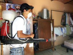 La fumigación continúa en la Zona Metropolitana de Guadalajara como medida de prevención. ARCHIVO  /