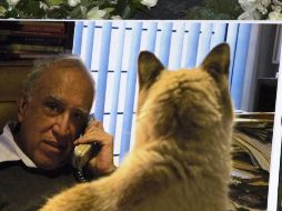 Culpan a los gatos por la muerte del escritor. EFE  /