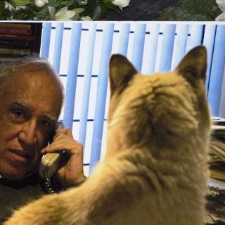 Rechazan que Poniatowska tenga gatos de 'Monsi'