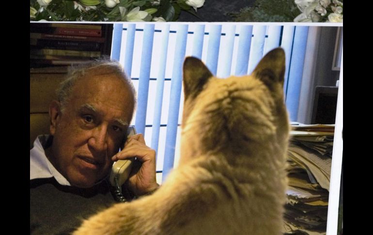 Culpan a los gatos por la muerte del escritor. EFE  /